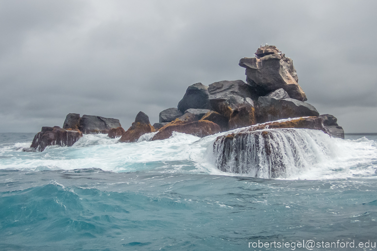 galapagos